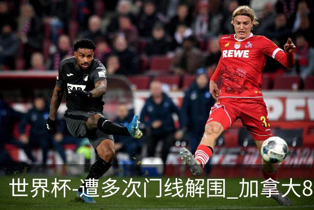 世界杯-遭多次门线解围 加拿大8射4正半场暂0-0南非