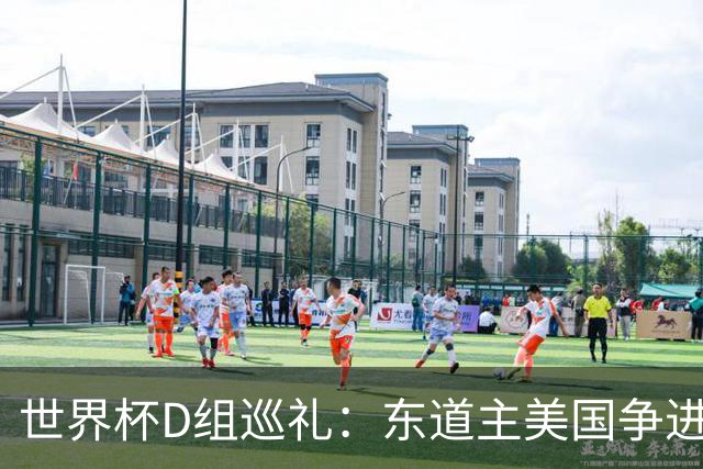 世界杯D组巡礼：东道主美国争进8强 土耳其巴拉圭澳洲混战