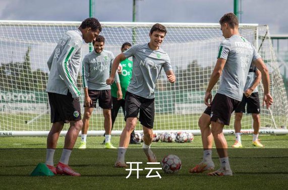关于开云