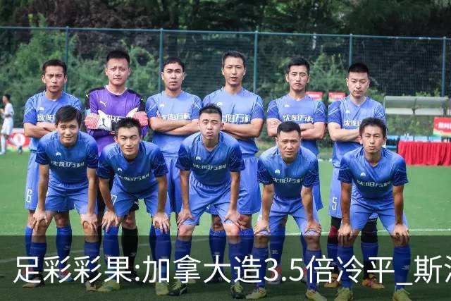 足彩彩果:加拿大造3.5倍冷平 斯洛伐克2-2黑山