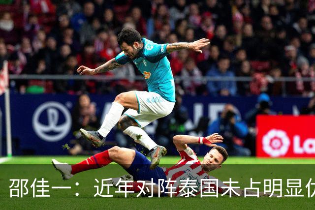 邵佳一：近年对阵泰国未占明显优势 国家队无友谊赛