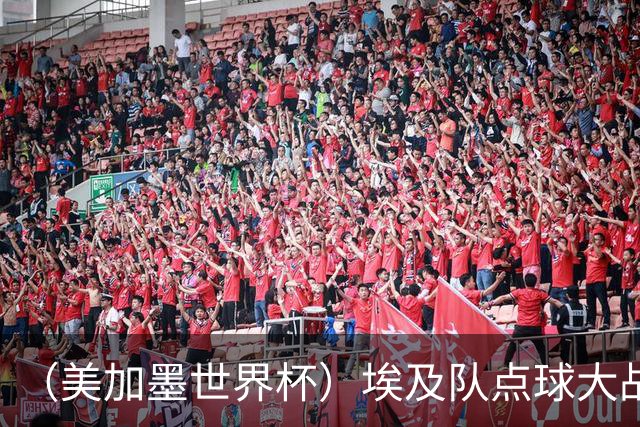 （美加墨世界杯）埃及队点球大战胜澳大利亚队 亚足联队伍全部出局