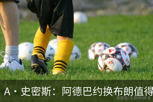 A·史密斯：阿德巴约换布朗值得热火考虑 但这会伤了阿德巴约的心